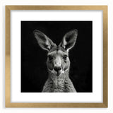 Kangaroo wall art design in a gold frame with mat, showcasing a vibrant wildlife scene, ideal for home decor enthusiasts and animal lovers. Perfect for adding a touch of nature-inspired elegance to any room.