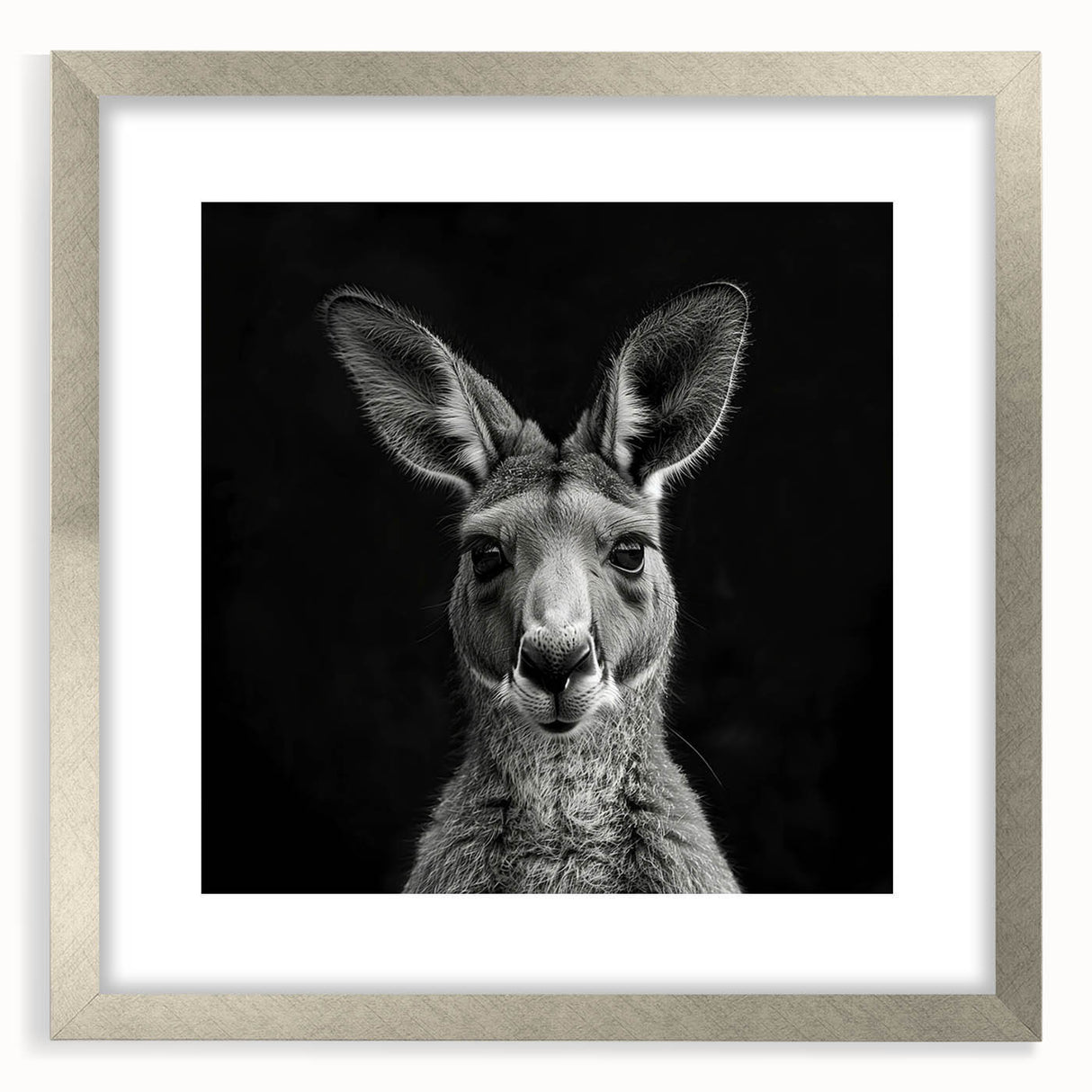 Framed wall art collection showcasing a kangaroo design in a silver frame with matting, perfect for adding a touch of wildlife decor to your space.
