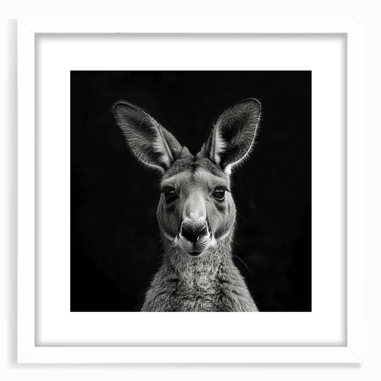 Front view of a framed wall art collection featuring a kangaroo design, set against a white mat, ideal for animal lovers and modern home decor enthusiasts.