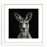 Front view of a framed wall art collection featuring a kangaroo design, set against a white mat, ideal for animal lovers and modern home decor enthusiasts.