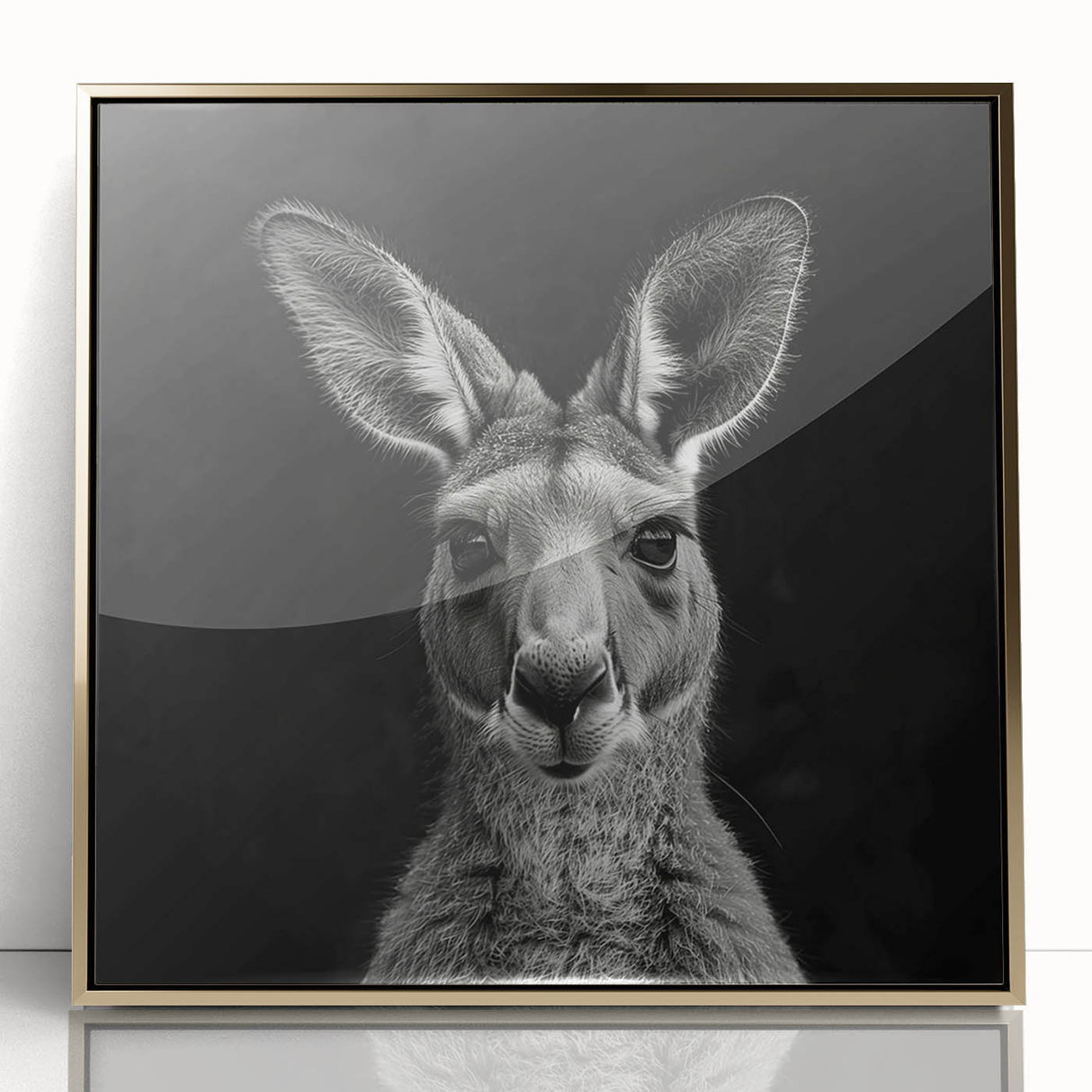 Framed acrylic wall art featuring a vibrant kangaroo design with gold accents, perfect for adding a touch of Australian wildlife to home decor.