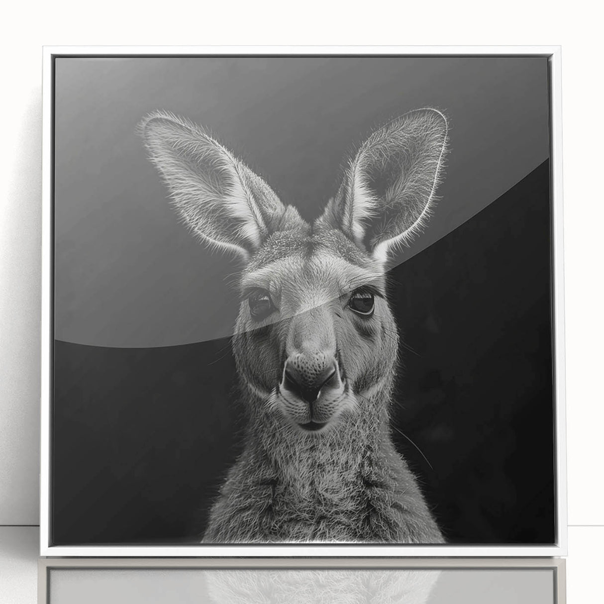 Framed acrylic wall art showcasing a kangaroo design from the "Animals A Wild Life" collection, presented in a sleek white frame that enhances its vibrant colors, ideal for animal lovers and contemporary decor.
