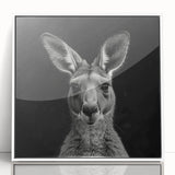 Framed acrylic wall art showcasing a kangaroo design from the "Animals A Wild Life" collection, presented in a sleek white frame that enhances its vibrant colors, ideal for animal lovers and contemporary decor.