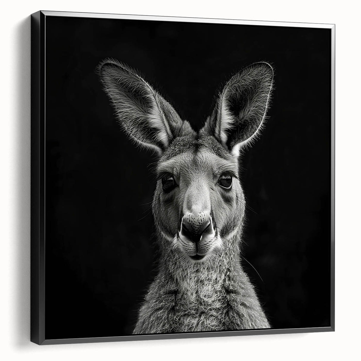 Framed canvas wall art showcasing a side view of a kangaroo design from the "Animals - A Wild Life" collection, featuring a sleek black frame and vibrant colors, perfect for nature-inspired decor.