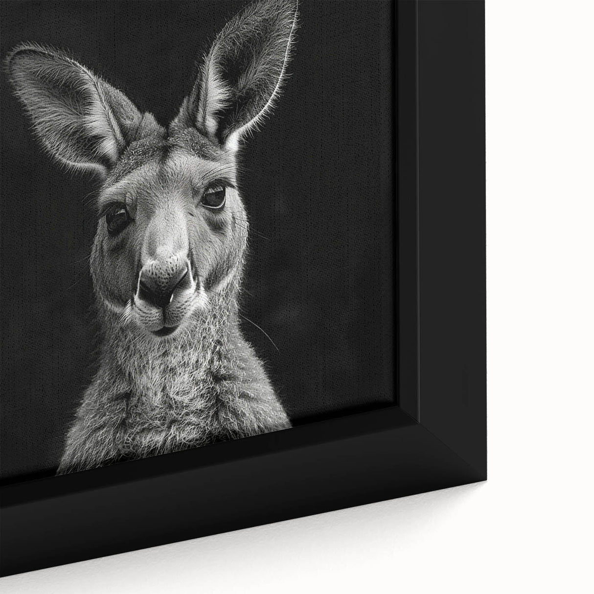 Close-up of a beautifully framed canvas featuring a vibrant kangaroo design, showcasing intricate details and rich colors, perfect for wildlife-themed decor.
