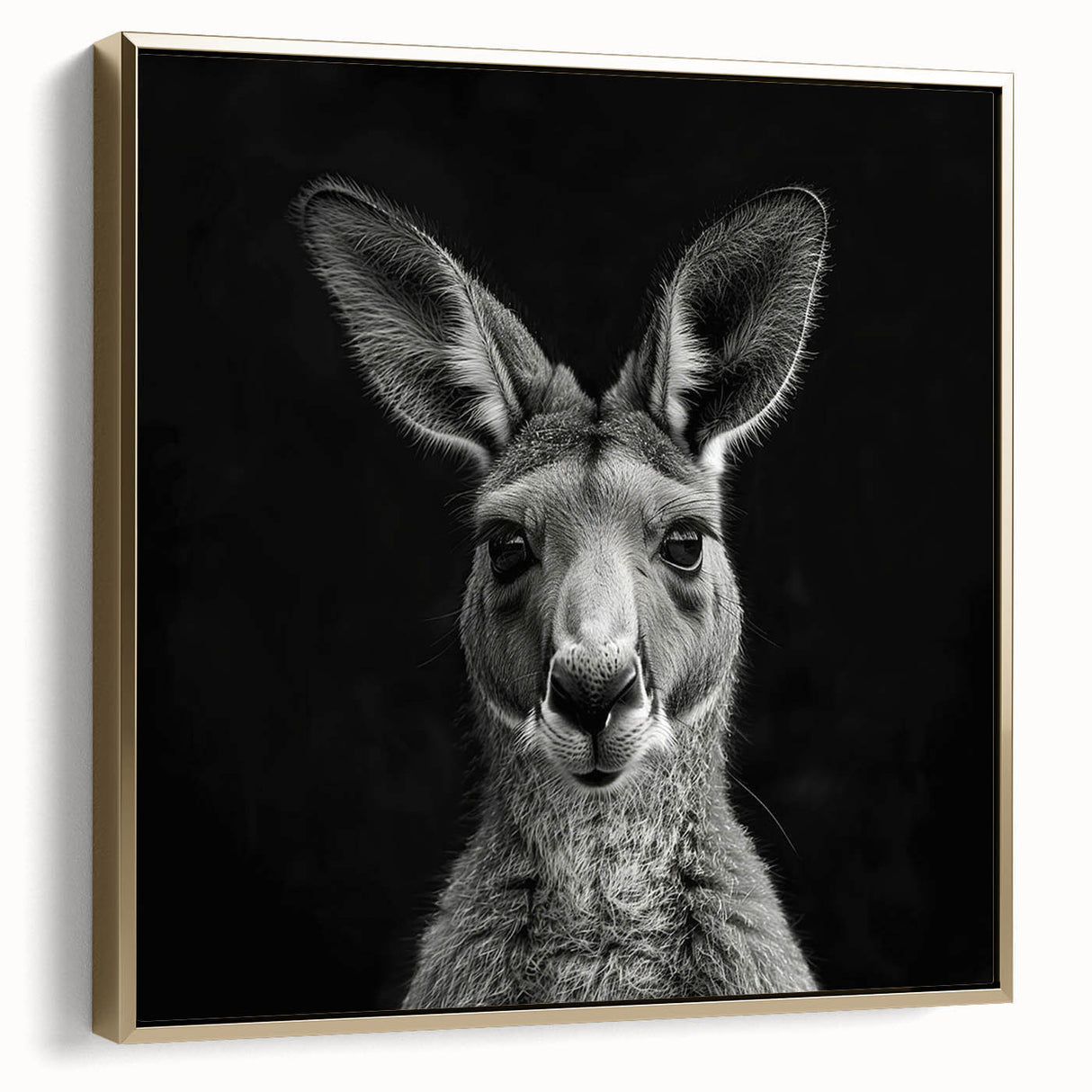 Framed canvas wall art featuring a side view of a kangaroo design from the "Animals A Wild Life" collection, showcasing golden accents on a textured background. Perfect for nature-themed decor.