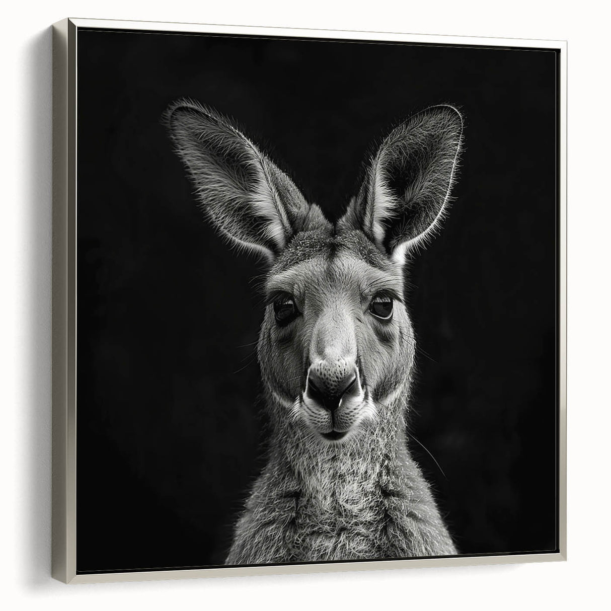 Framed wall art featuring a silver-edged kangaroo design, showcasing vibrant colors and intricate details, perfect for animal lovers and modern decor enthusiasts.