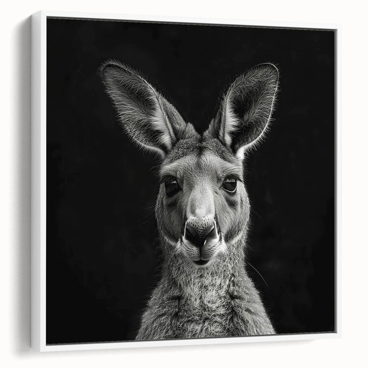 Framed canvas wall art featuring a vibrant kangaroo design in a minimalist style, set against a white background, ideal for modern decor and animal lovers.