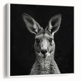 Framed canvas wall art featuring a vibrant kangaroo design in a minimalist style, set against a white background, ideal for modern decor and animal lovers.