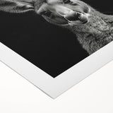 Kangaroo-themed rolled canvas wall art design showcasing vibrant colors and intricate details, perfect for wildlife enthusiasts. Packaged securely in a cardboard tube for safe delivery.