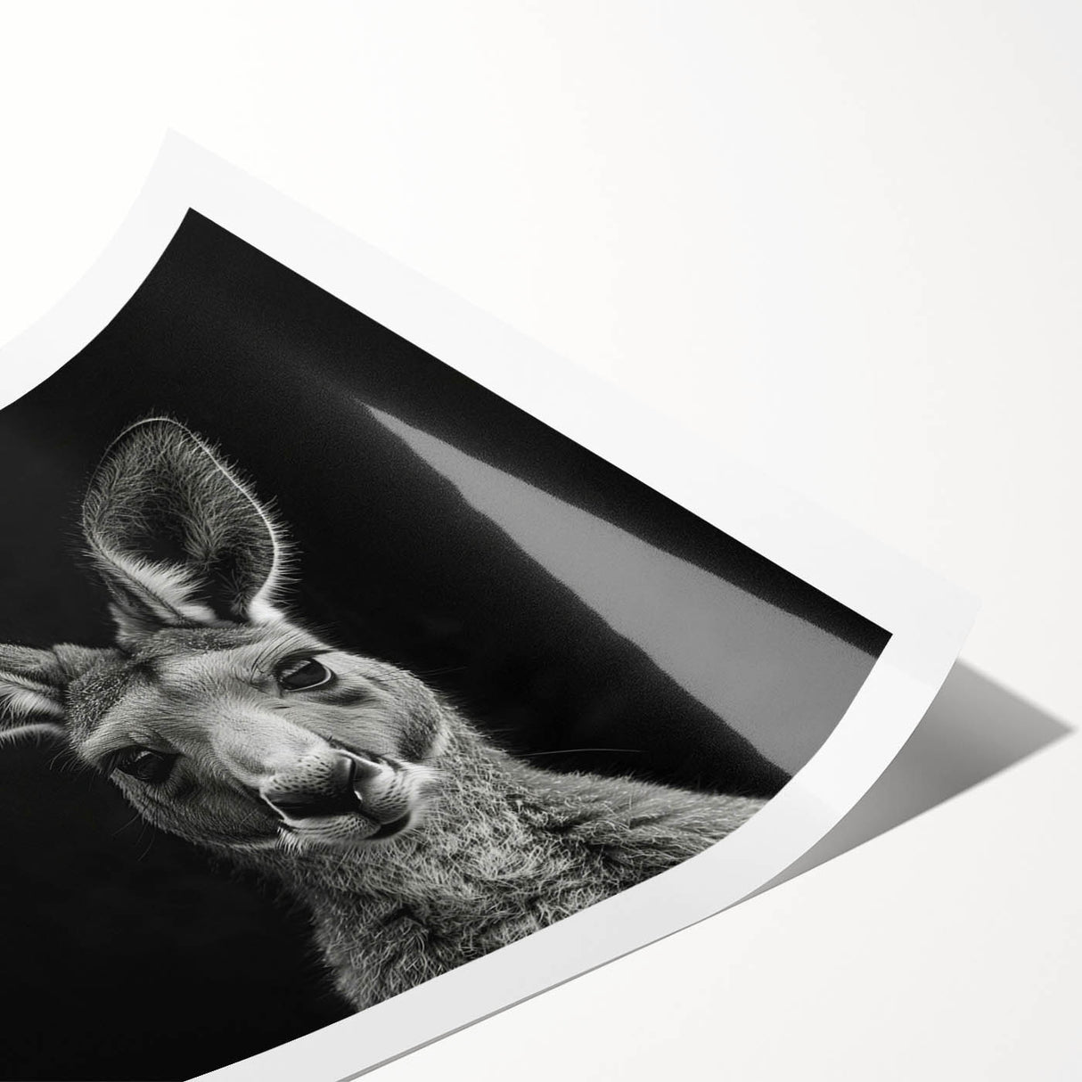 Kangaroo-themed wall art print showcasing vibrant colors and intricate design, rolled and ready for display, perfect for wildlife enthusiasts and home decor.