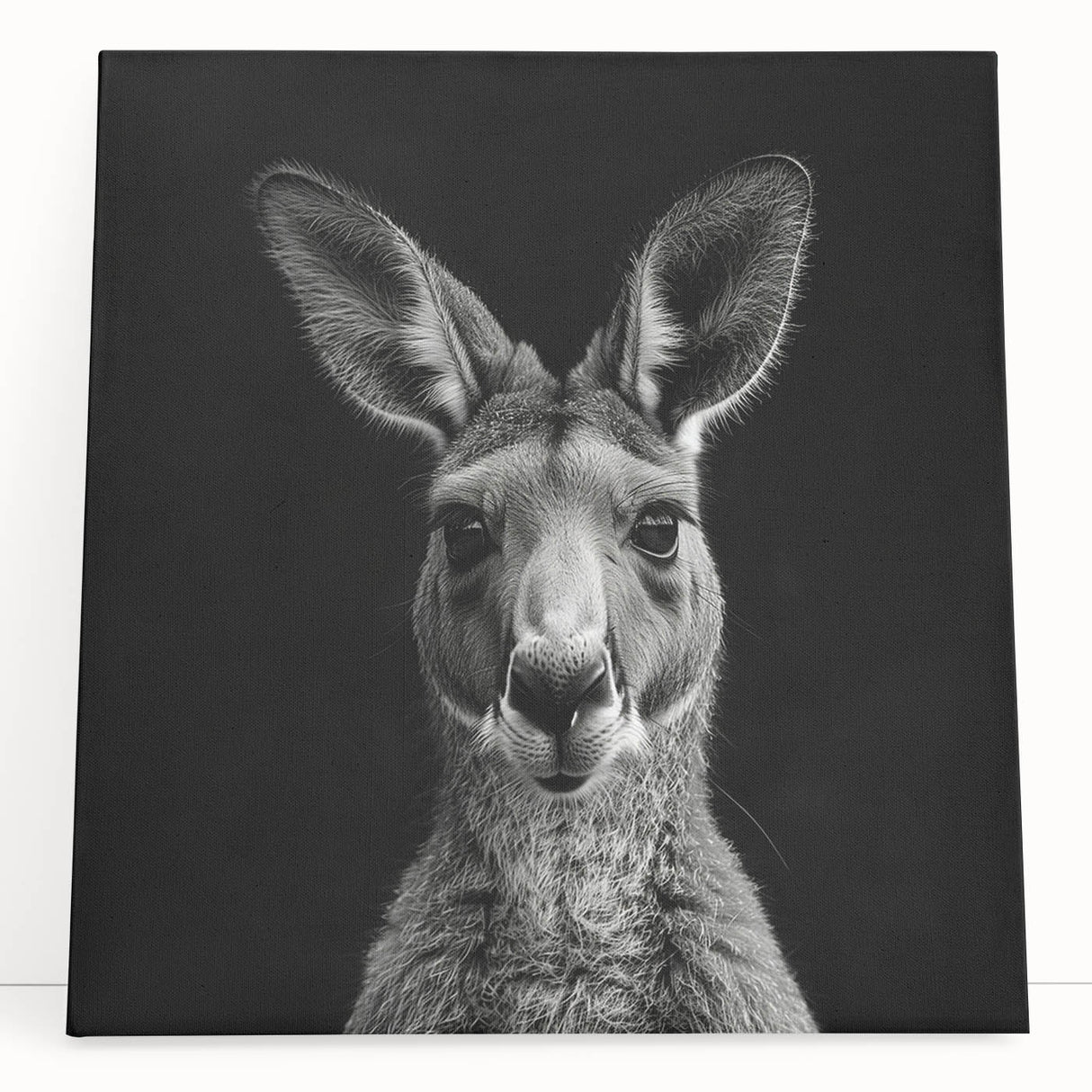 Stretched canvas wall art showcasing a vibrant kangaroo design, featuring bold colors and intricate details, perfect for adding a touch of wildlife decor to any space.