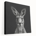 Stretched canvas wall art showcasing a vibrant kangaroo design, featuring detailed textures and colors, ideal for wildlife enthusiasts and modern decor.