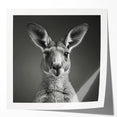 Kangaroo wall art design featuring a vibrant, colorful illustration on glossy canvas. Perfect for wildlife enthusiasts, this art piece adds a touch of nature to any decor.