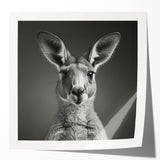 Kangaroo wall art design featuring a vibrant, colorful illustration on glossy canvas. Perfect for wildlife enthusiasts, this art piece adds a touch of nature to any decor.