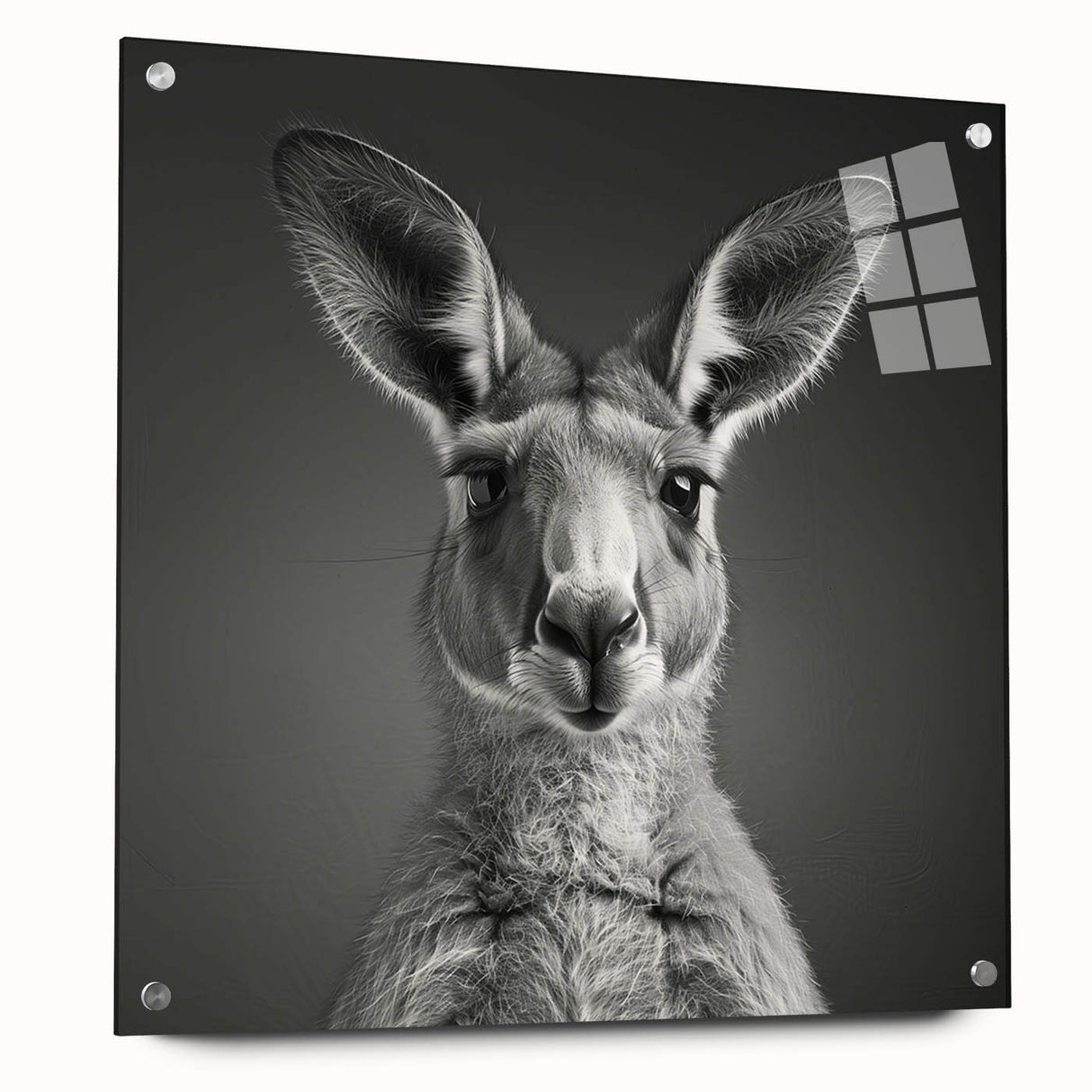 Side view of a vibrant acrylic glass wall art piece featuring a kangaroo design from the "A Wild Life" collection, showcasing intricate details and vibrant colors, perfect for animal lovers.