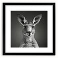 Kangaroo-themed wall art collection framed in black, showcasing vibrant wildlife design with a mat; ideal for nature lovers and home decor enthusiasts.