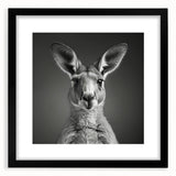 Kangaroo-themed wall art collection framed in black, showcasing vibrant wildlife design with a mat; ideal for nature lovers and home decor enthusiasts.