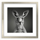 Framed wall art featuring a vibrant kangaroo design in a silver frame with a white mat, showcasing wildlife artistry perfect for home decor enthusiasts.