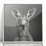 Framed wall art featuring a vibrant kangaroo design from the "Animals A Wild Life" collection, showcasing a white frame and glossy acrylic finish, perfect for enhancing decor.