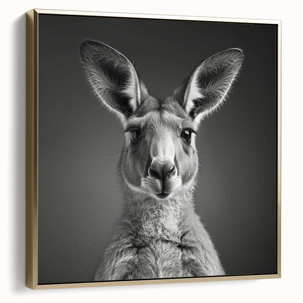Framed canvas wall art showcasing a side view of a kangaroo design, featuring vibrant colors and a gold frame, perfect for animal lovers and home decor enthusiasts.