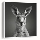 Framed wall art featuring a kangaroo design, showcasing vibrant colors and intricate details against a white background, perfect for wildlife-themed decor.