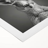 Vibrant rolled canvas showcasing a kangaroo design in a wild life theme, perfect for adding a touch of nature-inspired decor to any space. Ideal for animal lovers and art enthusiasts.