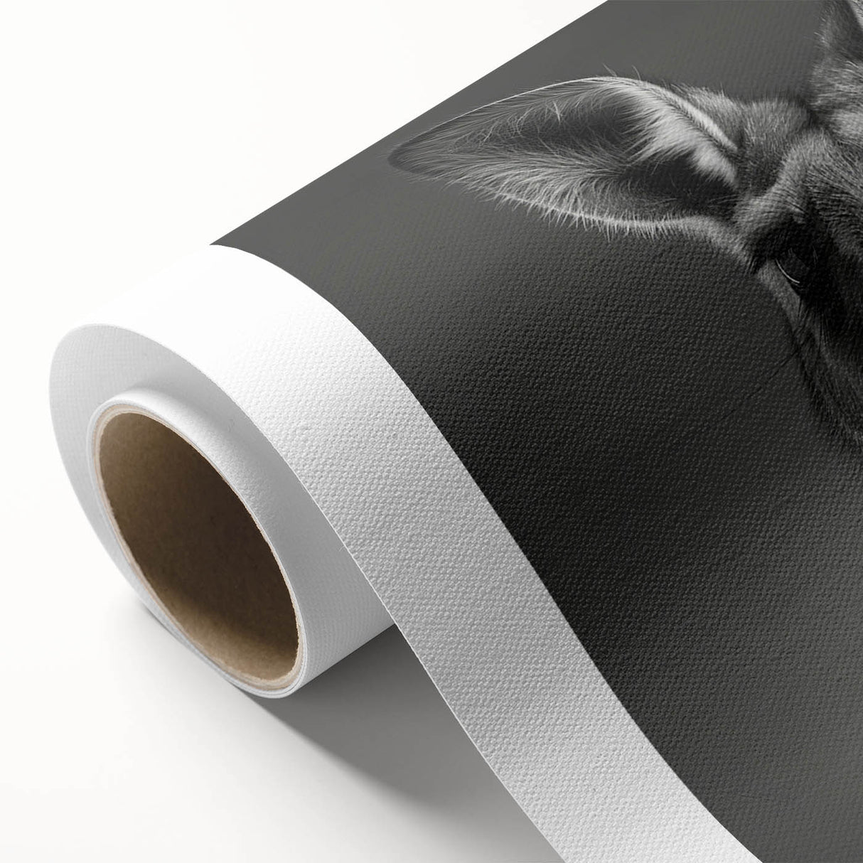 Kangaroo-themed rolled canvas wall art showcasing a vibrant wildlife design, beautifully packaged in a protective cardboard tube, perfect for home decor enthusiasts.