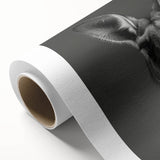 Kangaroo-themed rolled canvas wall art showcasing a vibrant wildlife design, beautifully packaged in a protective cardboard tube, perfect for home decor enthusiasts.