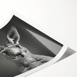 Kangaroo wall art print showcasing a vibrant, colorful design featuring a playful kangaroo in a natural habitat, ideal for wildlife enthusiasts and home decor.