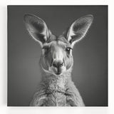 Front view of a stretched canvas featuring a vibrant kangaroo design, showcasing detailed colors and textures, perfect for wildlife-themed decor. Ideal for animal lovers and art enthusiasts.