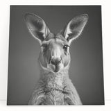 Stretched canvas wall art featuring a vibrant kangaroo design, showcasing rich colors and intricate details, ideal for nature lovers and contemporary decor.