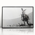 Framed acrylic wall art featuring a vibrant kangaroo design in a sleek black frame, showcasing wildlife themes and modern decor for animal lovers.