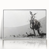 Framed wall art featuring a vibrant kangaroo design, showcasing detailed illustrations in a sleek white frame, perfect for adding a touch of wildlife decor to any room.