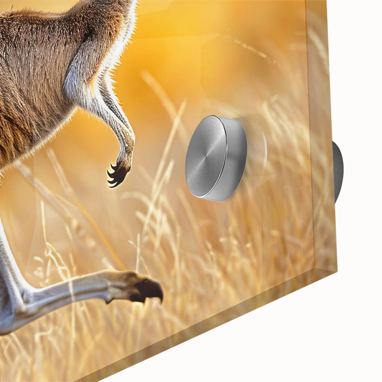 Close-up of a vibrant kangaroo wall art design featuring intricate details and bold colors, showcasing a wild life theme suitable for animal lovers and modern decor.