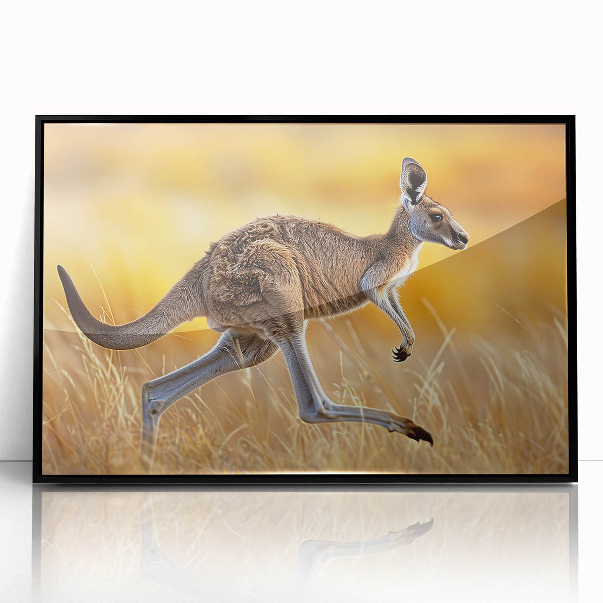 Framed wall art collection featuring a vibrant kangaroo design in acrylic, set in a sleek black frame, ideal for adding a touch of wildlife decor to any space.