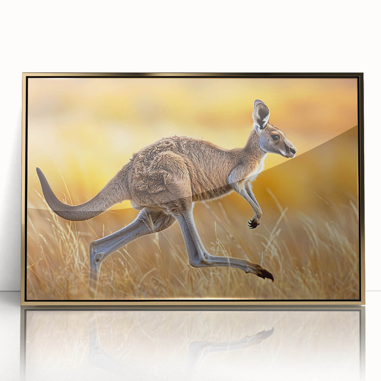 Framed wall art featuring a vibrant kangaroo design in a gold-accented frame, showcasing colorful animal illustrations perfect for wildlife-themed decor.