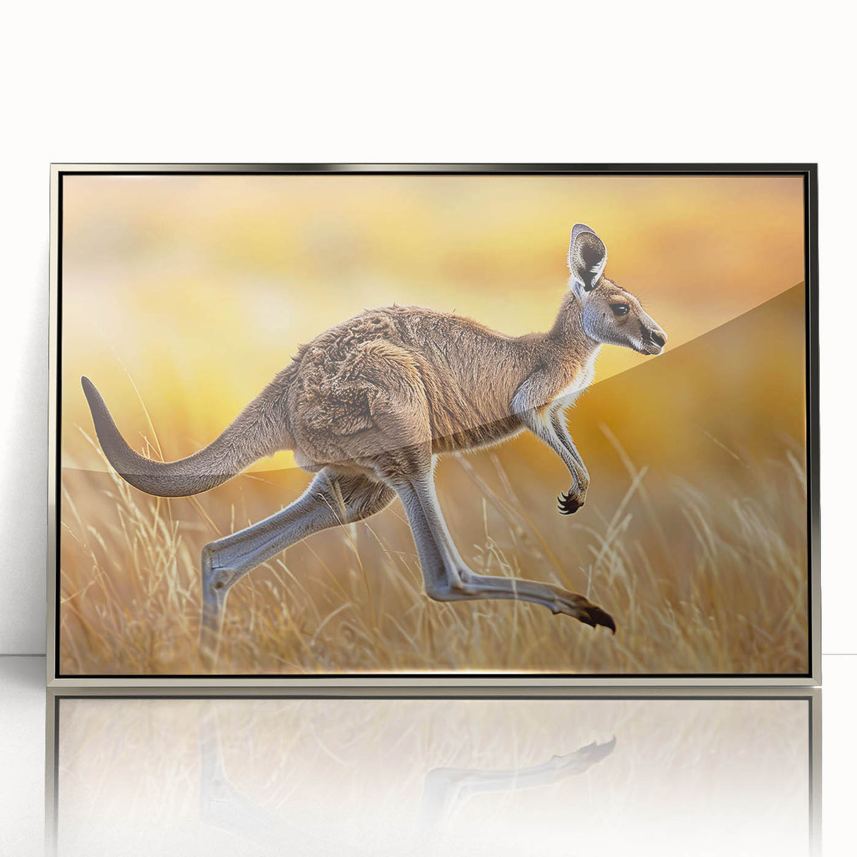 Framed acrylic wall art featuring a striking kangaroo design, showcasing vibrant colors and intricate details, ideal for wildlife enthusiasts and modern decor.