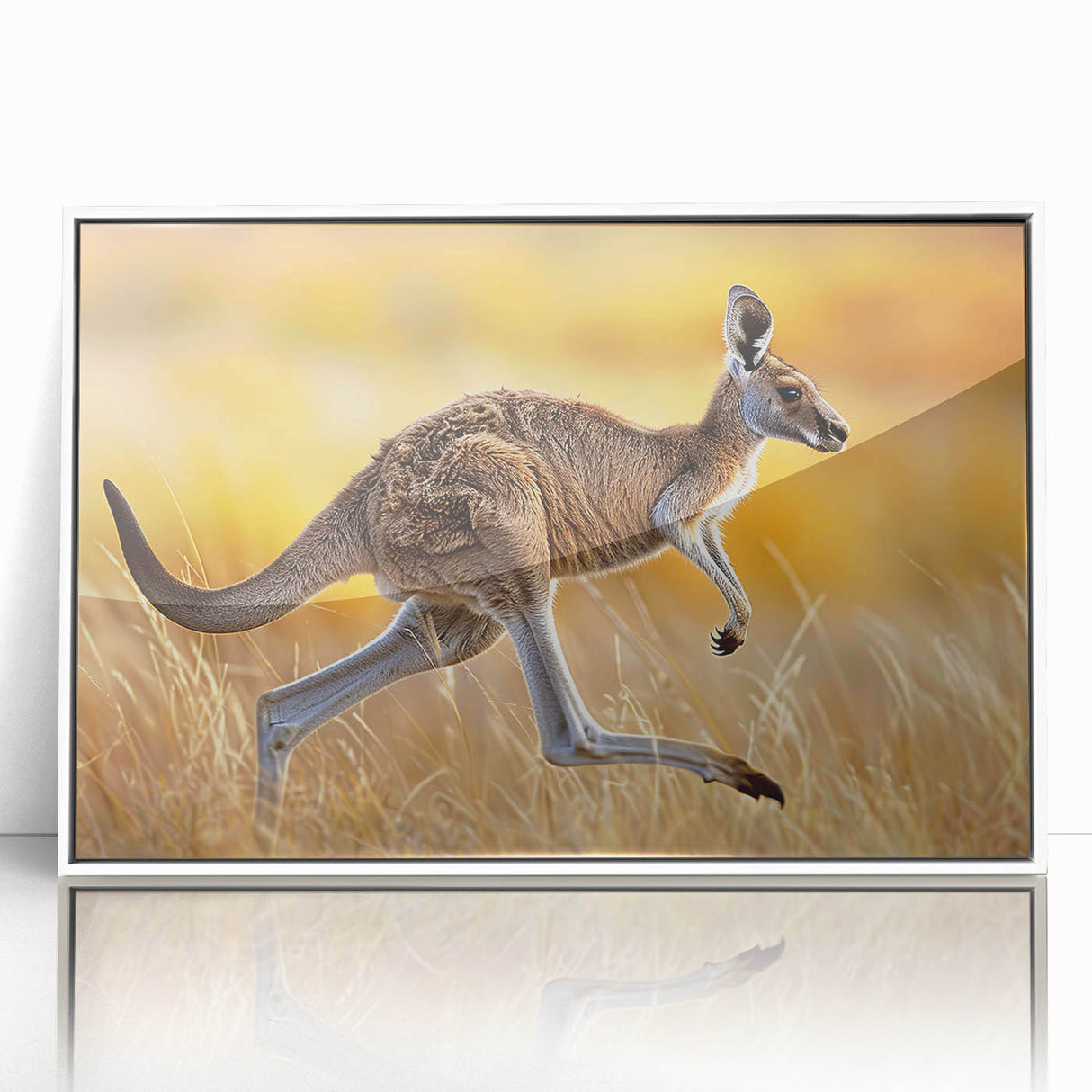 Framed wall art featuring a vibrant kangaroo design, showcasing intricate details and a white frame, ideal for adding a touch of wildlife decor to any space.