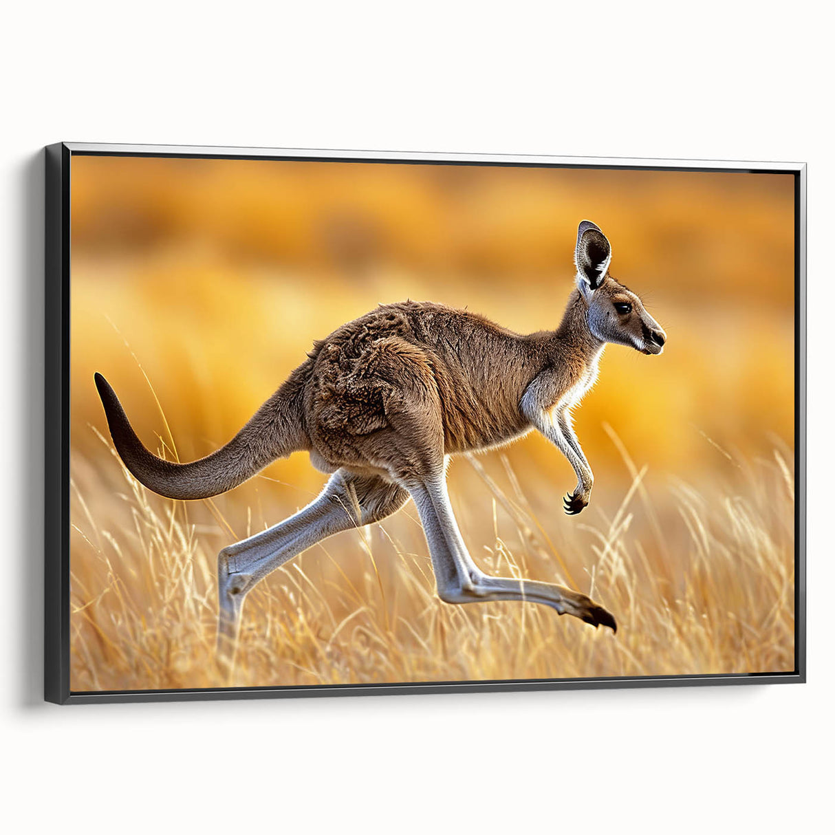 Framed canvas wall art showcasing a side view of a kangaroo design from the 'Animals A Wild Life' collection, featuring a modern black frame, ideal for nature-themed decor.