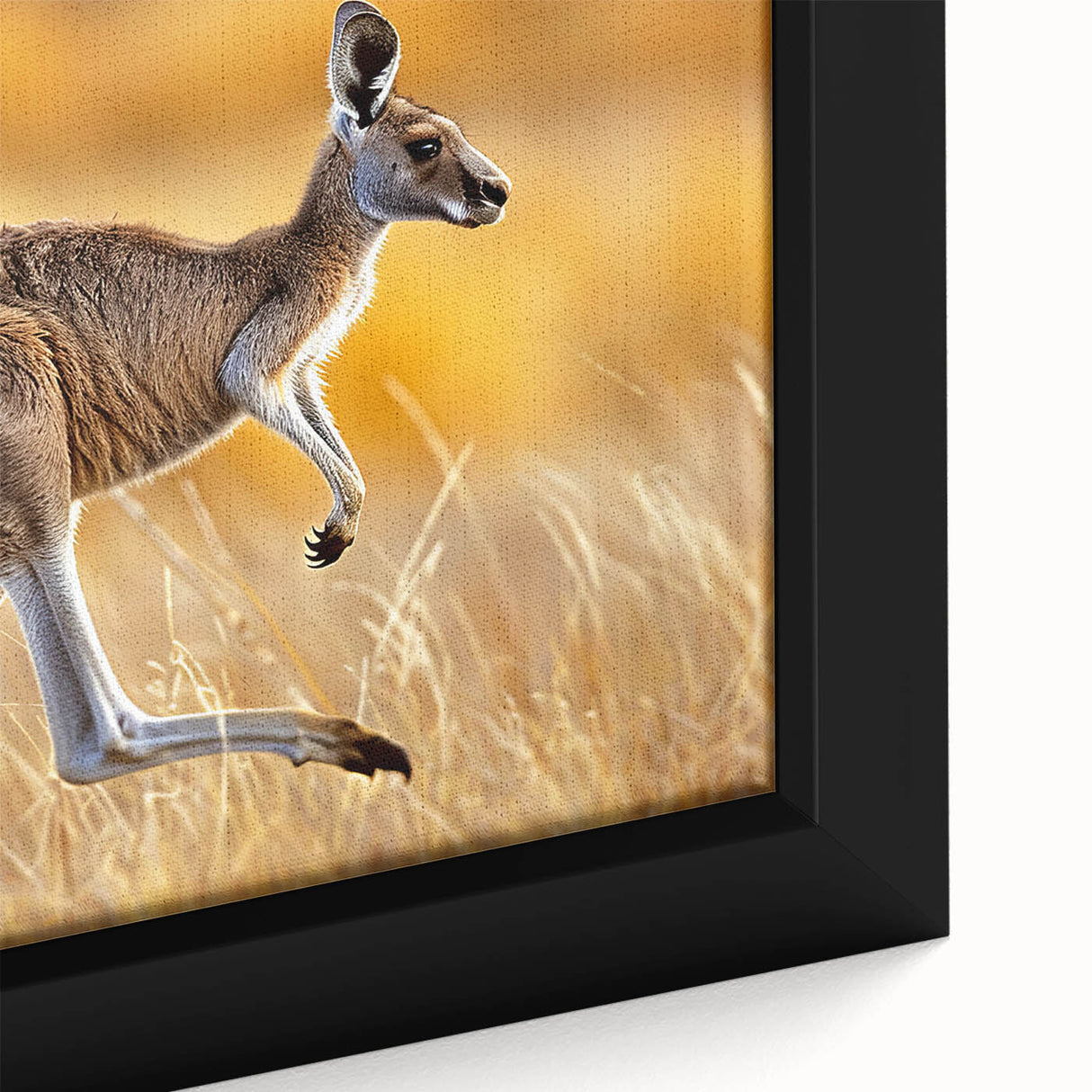 Close-up of a framed kangaroo wall art design showcasing vibrant colors and intricate details, perfect for wildlife enthusiasts and home decor lovers. This canvas print adds a touch of nature-inspired elegance to any living space.