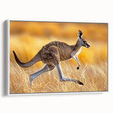 Framed canvas wall art showcasing a side view of a kangaroo design, featuring vibrant colors against a white background, perfect for wildlife-themed decor.