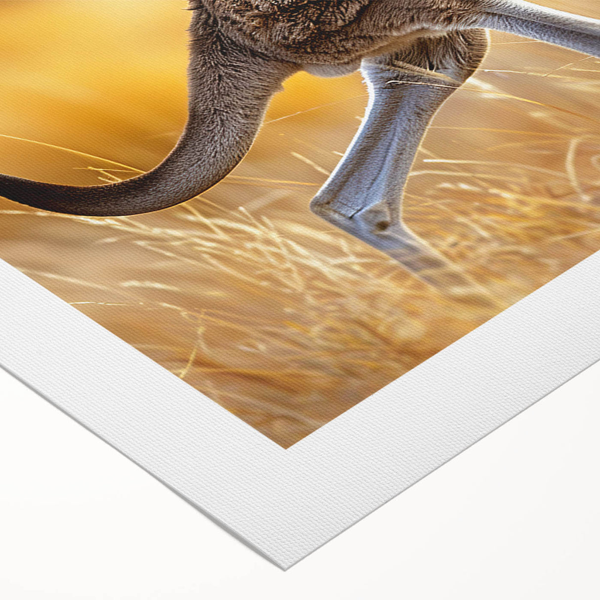 Kangaroo wall art design on rolled canvas, showcasing vibrant colors and intricate details, ideal for wildlife enthusiasts and modern home decor.