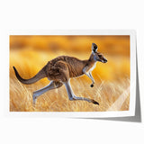 Kangaroo wall art print showcasing vibrant colors and intricate details, rolled for easy shipping in a protective cardboard tube, perfect for wildlife enthusiasts.