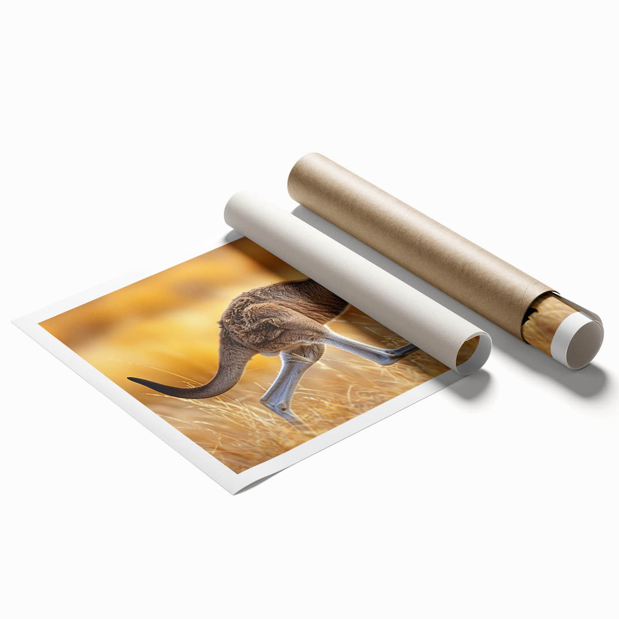 Kangaroo wall art print showcasing a vibrant design inspired by Australian wildlife, rolled for shipping in a protective cardboard tube, perfect for home decor.