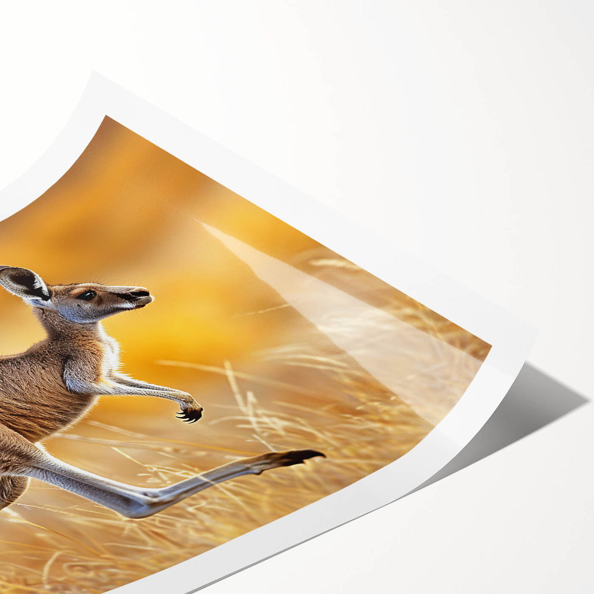 Kangaroo wall art design featuring vibrant colors and intricate details, showcasing Australian wildlife in a rolled print format, ideal for home decor.