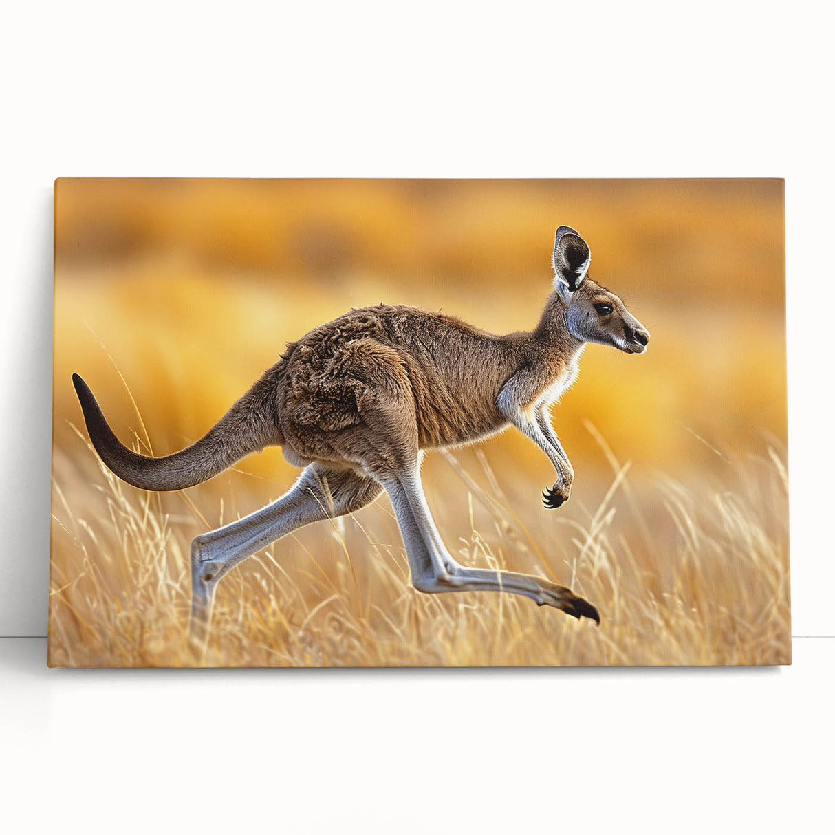 Stretched canvas wall art featuring a vibrant kangaroo design against a natural backdrop, perfect for wildlife-themed decor, showcasing rich colors and details.