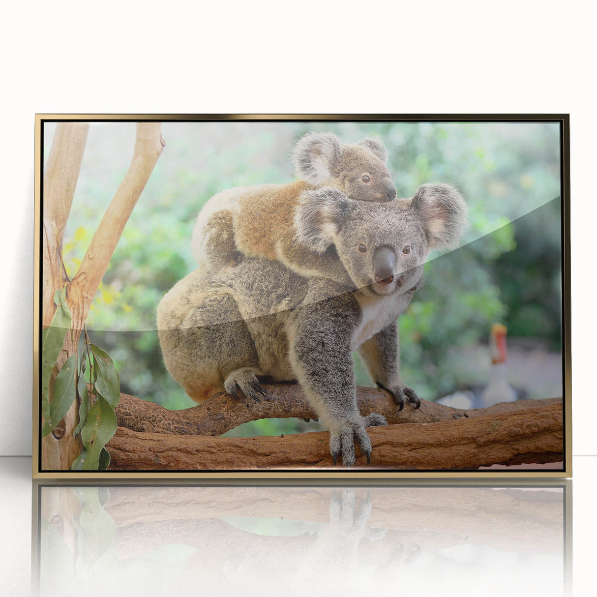 Framed wall art featuring a detailed front view of a koala design with gold accents, perfect for wildlife enthusiasts and modern home decor.