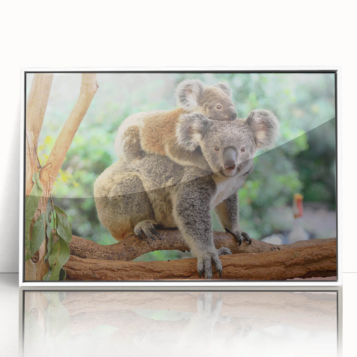 Framed wall art featuring a detailed koala design, showcasing a vibrant illustration on a white background, perfect for wildlife-themed decor.