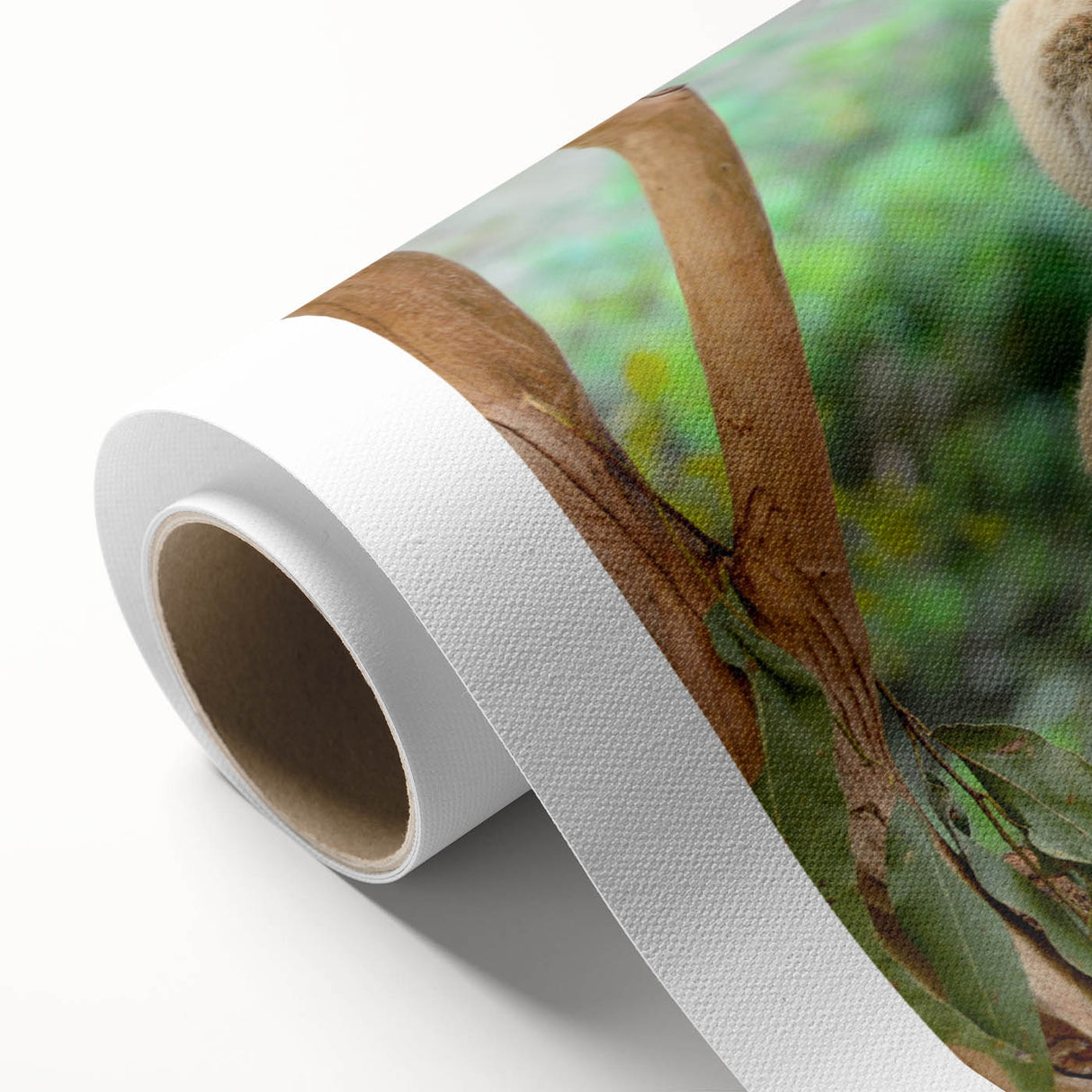 Koala-themed rolled canvas wall art featuring a detailed illustration of a koala in its natural habitat, showcasing vibrant colors and intricate design elements. Ideal for wildlife enthusiasts and home decor.